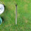 2pcs Stainless Steel Mushroom Foraging Tool 7