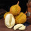 2pcs Fake Fruit Artificial Durian Home Decor 10