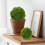 3pcs Artificial Moss Orbs Faux Greenery Balls for Decor 6