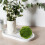 3pcs Artificial Moss Orbs Faux Greenery Balls for Decor 5