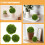 3pcs Artificial Moss Orbs Faux Greenery Balls for Decor 10