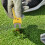 Foldable Golf Divot Tool with Ball Marker and Metal Fork 7