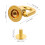 20St Gouden Zinklegering D-Ring Stud Schroeven Voor Handtassen 3