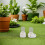 2pcs Transparent 3ml Ant Water Feeder for Formicarium Pets 5