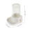 2pcs Transparent 3ml Ant Water Feeder for Formicarium Pets 3