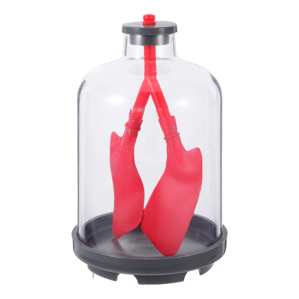 Inoomp Lung Function Model For Kids Human Respiration Anatomy Breathing Demo