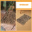 2pcs Reptile Bark for Lizard Climbing & Hiding 8