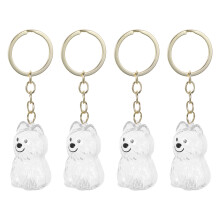 4pcs Dog Hair Holder Keychain Transparent Pet Keepsake