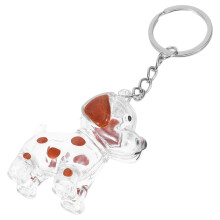 Transparent Pet Memorial Keychain Keepsake Box for Cat Owners