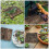 5pcs Reptile Terrarium Cork Bark Background Log Decor 7