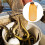 Foldable Minnow Trap for Shrimp Crabs Crawfish - Plastic Mesh Cage 10