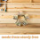 6pcs Concealed Fire Sprinkler Cover Plate Ceiling Mount 8
