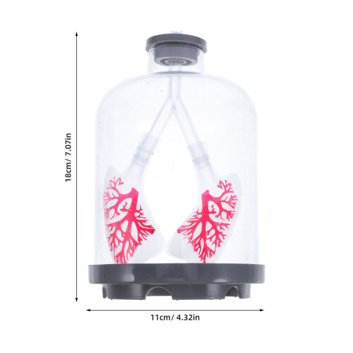 Lung Breathing Model Diaphragm Simulation Experiment Device 1