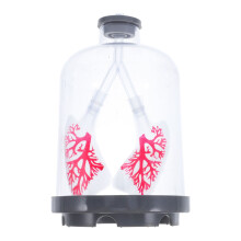 Lung Breathing Model Diaphragm Simulation Experiment Device