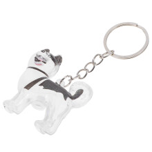 Dog Hair Collector Keychain Memorial Box for Pet Hair Storage