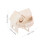 Wooden Hamster Cage Double Layer Exploring Toy for Squirrel 2