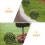 3pcs Artificial Plant Topiary Ball Support Cage Plastic Frame 6
