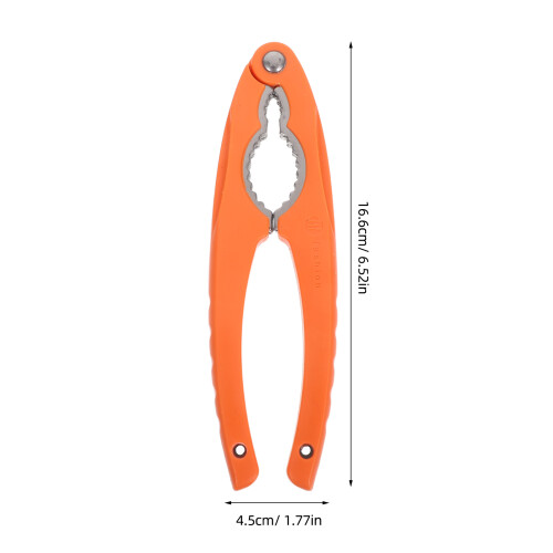 Heavy Duty Stainless Steel Nut Cracker for Walnuts Chestnuts 2