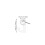 100pcs Clear Pushpin Hooks for Cork Board Bulletin Wall Display 2
