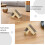 4pcs Wooden Queen Cages for Beekeeping Hive Splits 8