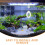 White Vintage Betta Training Mirror ABS for Aquarium Decoration 9