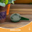 8pcs Handheld Garden Seeder Tool with 5 Adjustable Settings 8