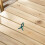 100pcs Garden Plant Clips for Orchid Tomato Vine Support 4