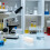 High-Temperature Corundum Crucible with Lid for Lab Use 5