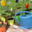 10pcs Reusable Vegetable Box Stopper Flower Pot Plug 6
