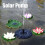 Solar Water Pump 7V 1.0W Black, Anti-Clogging Double Filter, 16cm 14