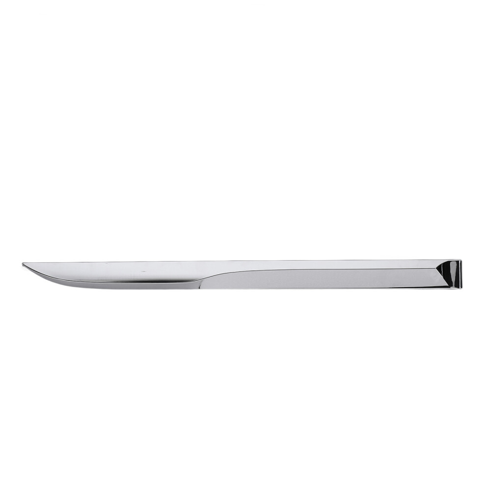 Rear Door Lower Chrome Molding Trim Scratch 8320539936055