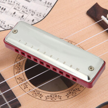 Stainless Steel Blues Harmonica 10 Holes Eb Key, 20-Range, 4.1x1.2in