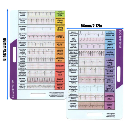 User Friendly Portable Rhythm Pocket Card Suitable For Music-C 2