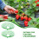 4pcs Strawberry Planting Racks 12inch Vertical Support Trellis 8