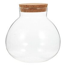 Round Glass Jar Terrarium with Cork Lid for Succulents Air Plants