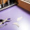 12pcs Vending Machine Coil Pusher Extensions for Snack Dispensing 7