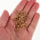 1 Bag Wood Chips for Smoking and Grilling 4