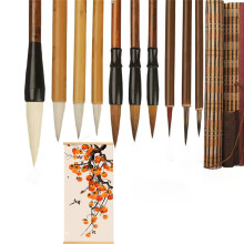 10 Pcs Chinese Calligraphy Brush Set for Watercolor Painting, Kanji and Japanese Writing with Brush Bag, K367-10