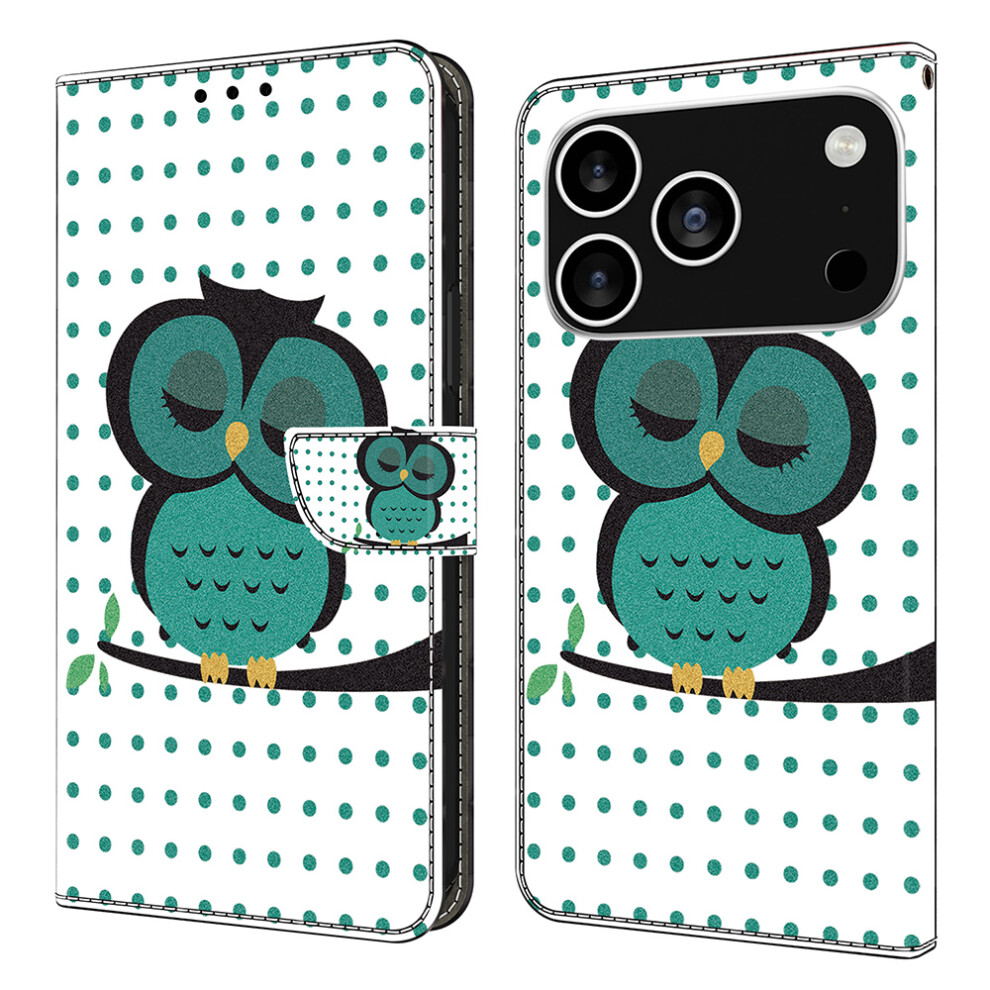 (Iphone 17 Pro Max, Sleeping Owl) For Iphone 17 Pro Max Case Magnetic Clasp 3D Pattern Leather Wallet Phone Cover 6914289053487