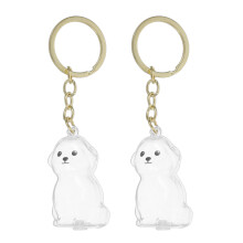 2pcs Dog Hair Keepsake Keychain Clear Case for Pet Memorial
