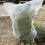 2 Stück Garten-Glashaus Schutznetzbeutel 1,2x1,4 m PP-Material 4