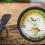 Reptile HighAccuracy Thermometer Hygrometer Gauge-one pack 6