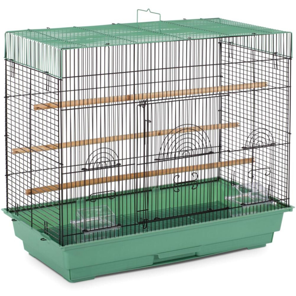 PREVUE PET PRODUCTS SP1804-4 Flight Cage, Green/Black