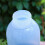 Spruzzatore a pressione da 2 L, trasparente, portatile per giardino. 7