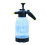 Spruzzatore a pressione da 2 L, trasparente, portatile per giardino. 2