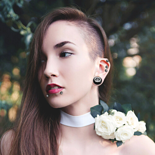 Ensemble d'expanseurs d'oreille de 36 pièces, 1,6–10 mm, Couleur : Argent 2