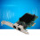 PCI-E X1 1000Mbps Double Port Gigabit EtherneT 4