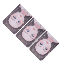 3 Stück Pinke Gesichtsschminkübungsbretter, wiederverwendbar,waschbar, A4-Format
