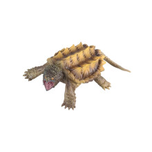 Exquisite Snapping Turtle Figure Educational Toy Playset for Kids, Realistic Model, Perfect Birthday Gift, Home Decor