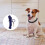 10Meter Hundetrainingseil, , Langlebige Polypropylen-Leine 5